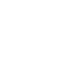 LinkedIn Icon